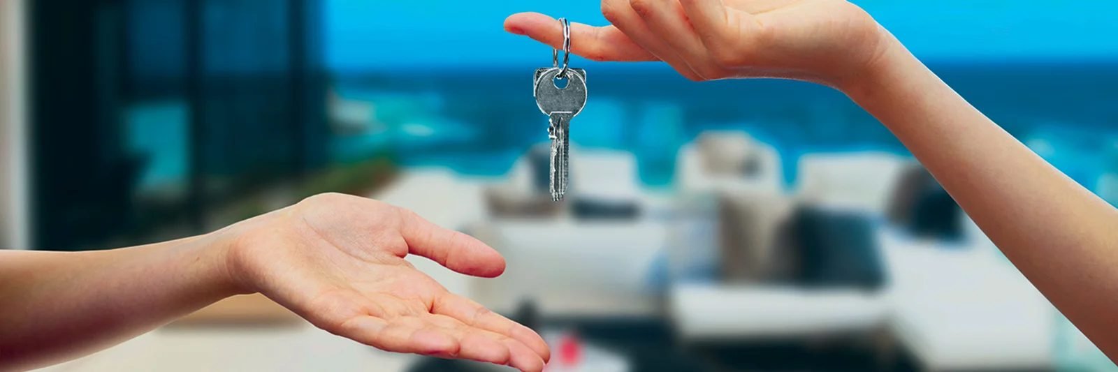 Services aux entreprises dans les Landes